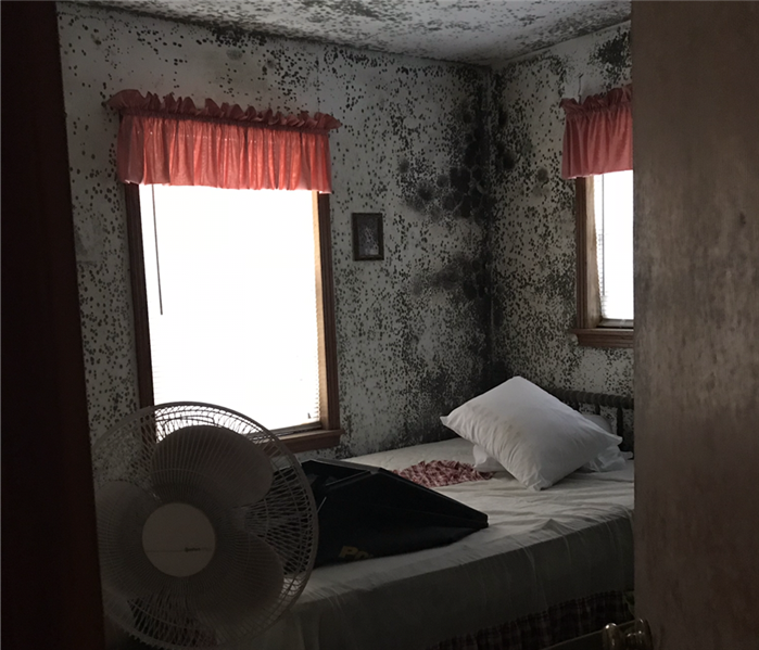 bedroom with walls and ceiling covered with mold